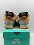 Nike SB Dunk Low Safari (WORN)