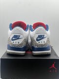 Air Jordan 3 Retro True Blue (2016) (WORN)