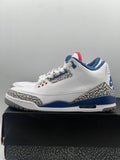 Air Jordan 3 Retro True Blue (2016) (WORN)